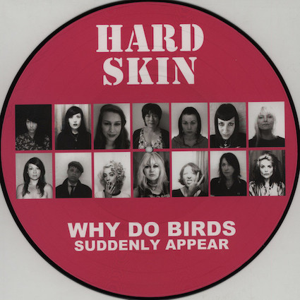 Hard Skin : Why do birds suddenly appear PictLP
